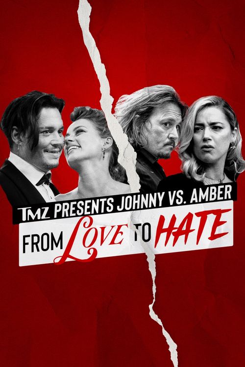 TMZ Presents Johnny Vs. Amber: From Love to Hate Full HD Movie Download