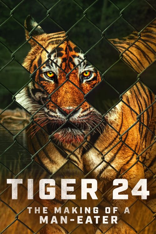 Tiger 24 Full HD Movie Download